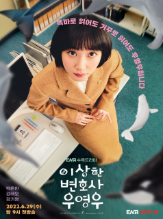 Extraordinary Attorney Woo streaming
