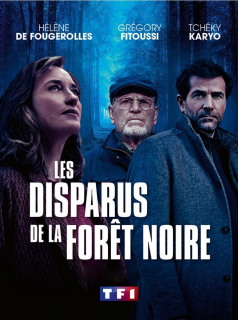 Les disparus de la forêt noire streaming