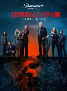 Esprits criminels streaming