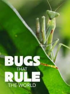 Bugs That Rule the World streaming Bugs That Rule the World streaming
