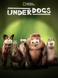 Les outsiders du monde animal streaming