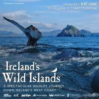 Ireland's Wild Islands
